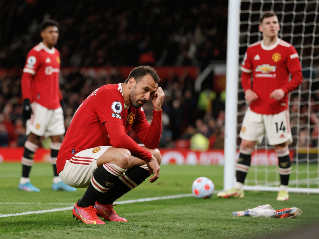 上更加透明 上更加透明