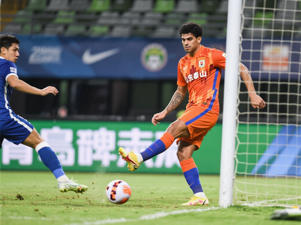 主导地位 主导地位